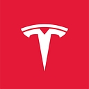 1TSLA.MI logo
