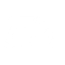 FTG.VI logo